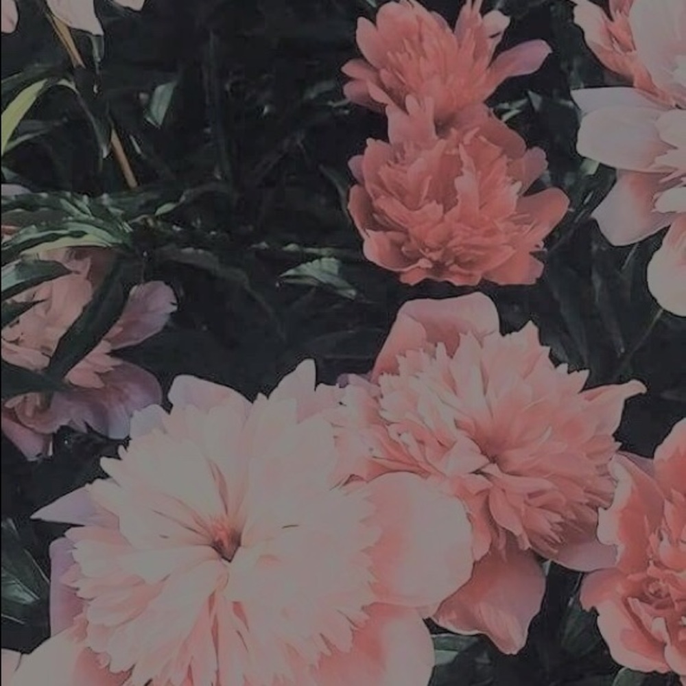 Meet your Posher, Niniya